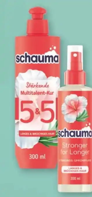 Rossmann Schwarzkopf Schauma Kur 5&5 Angebot
