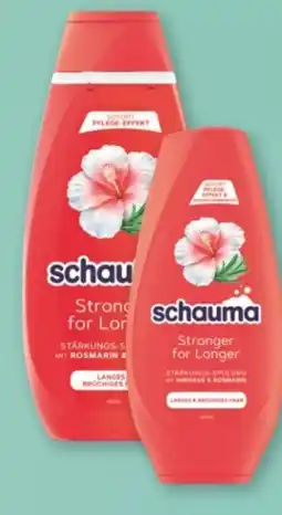 Rossmann Schwarzkopf Schauma Shampoo Angebot