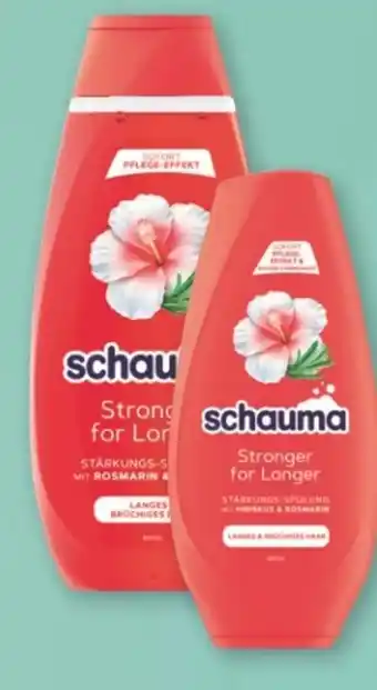 Rossmann Schwarzkopf Schauma Shampoo Angebot