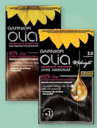 Rossmann Garnier Olia Coloration Angebot