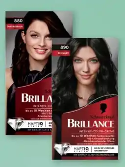 Rossmann Schwarzkopf Brillance Coloration Angebot