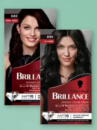 Rossmann Schwarzkopf Brillance Coloration Angebot