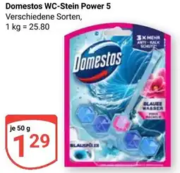 Globus Domestos WC-Stein Power 5 Angebot