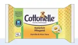 Rossmann Cottonelle Feuchtes Toilettenpapier Angebot