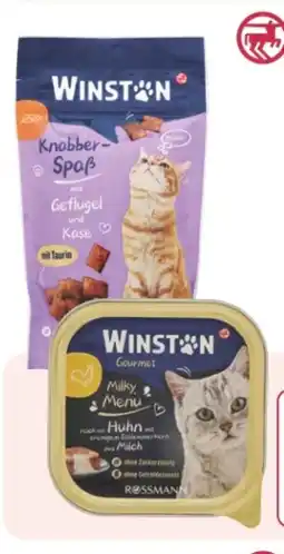 Rossmann Winston Knabber-Spaß Angebot