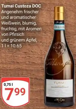 Globus Tumai Custoza DOC Angebot