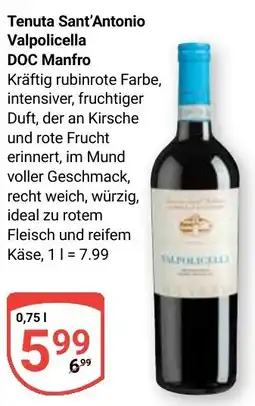 Globus Tenuta Sant'Antonio Valpolicella DOC Manfro Angebot