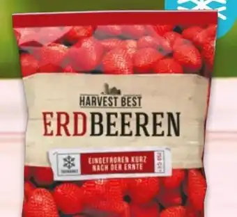 NETTO Harvest Best Erdbeeren Angebot