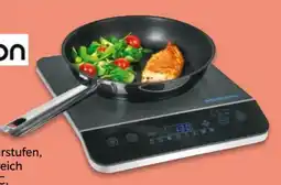 NETTO Medion Induktions-Kochplatte MD17595 Angebot