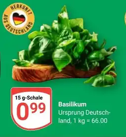 Globus Basilikum Angebot