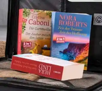 Aldi Süd Taschenbuch-Roman Angebot