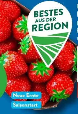 Aldi Süd Bestes aus der Region Erdbeeren Angebot