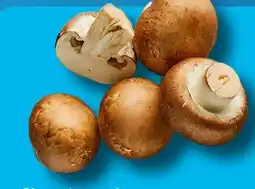 Aldi Süd Champignons Angebot