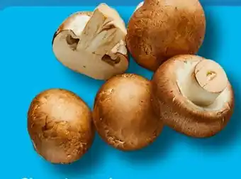 Aldi Süd Champignons Angebot