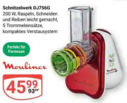 Globus Schnitzelwerk DJ756G Moulinex Angebot