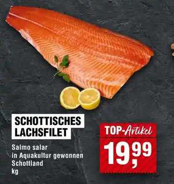 Handelshof Salmo salar in Aquakultur gewonnen Schottland Angebot