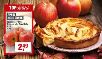 Handelshof Neuseeland / Chile Braeburn oder Royal Gala Angebot