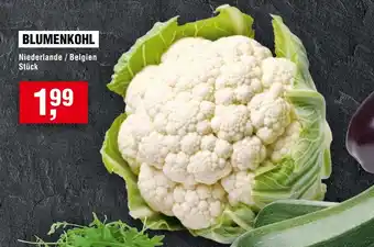 Handelshof Blumenkohl Angebot
