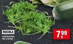 Handelshof Rucola Angebot