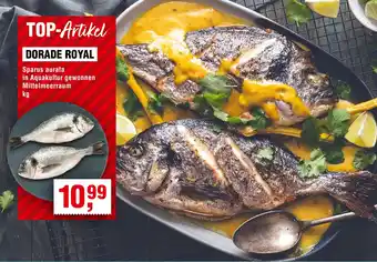 Handelshof Dorade royal Angebot
