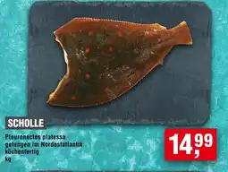 Handelshof Scholle Angebot