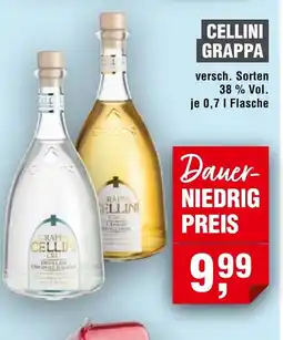 Handelshof Cellini grappa Angebot