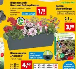Thomas Philipps Grüner jan riesenauswahl beet- und balkonpflanzen, blumenkasten magnolie, balkonblumendünger Angebot