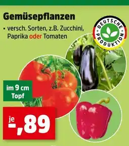 Thomas Philipps Deutsche produktion gemüsepflanzen Angebot