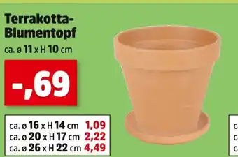 Thomas Philipps Terrakotta-blumentopf Angebot