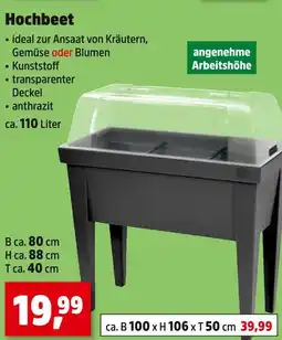 Thomas Philipps Hochbeet Angebot
