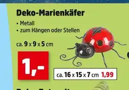 Thomas Philipps Deko-marienkäfer Angebot