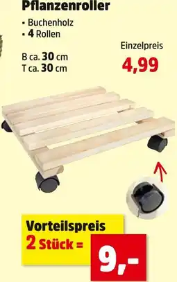 Thomas Philipps Pflanzenroller Angebot