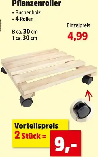 Thomas Philipps Pflanzenroller Angebot