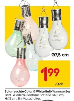 Rusta Solarleuchte color & white bulb Angebot
