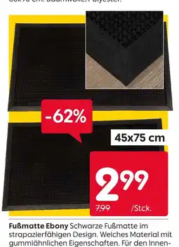 Rusta Fußmatte ebony Angebot