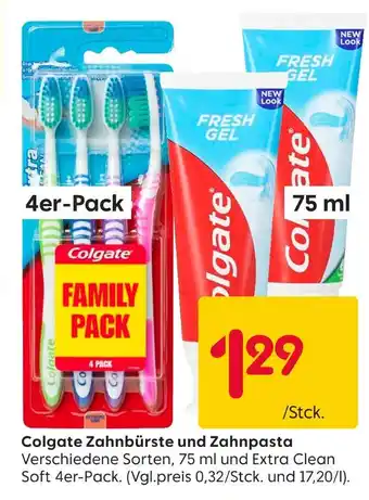 Rusta Colgate zahnbürste und zahnpasta Angebot