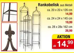Zimmermann Rankobelisk Angebot