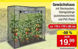 Zimmermann Gewächshaus Angebot