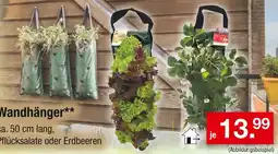 Zimmermann Wandhänger Angebot