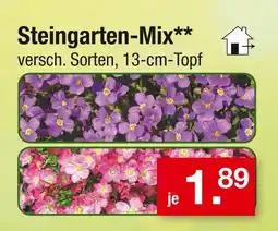 Zimmermann Steingarten-mix Angebot