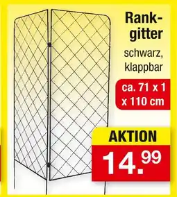 Zimmermann Rankgitter Angebot
