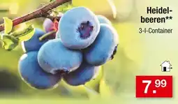 Zimmermann Heidelbeeren Angebot