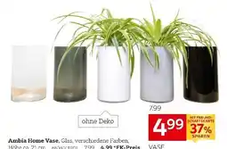 XXXLutz Ambia home vase Angebot