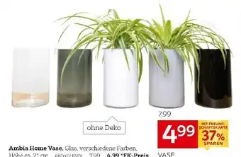 XXXLutz Ambia home vase Angebot