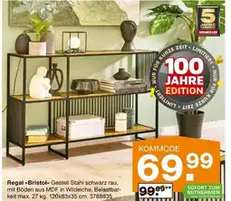 Segmüller Regal bristol Angebot