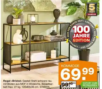 Segmüller Regal bristol Angebot