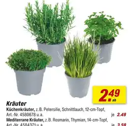 toom Baumarkt Kräuter Angebot