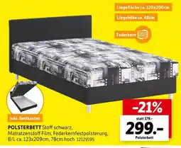 SCONTO Polsterbett Angebot