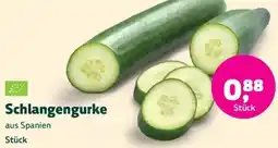 Biomarkt Schlangengurke Angebot