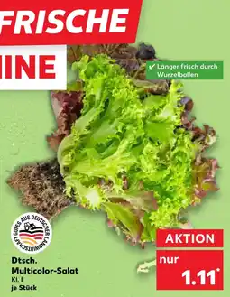 Kaufland Dtsch. Multicolor-Salat Angebot